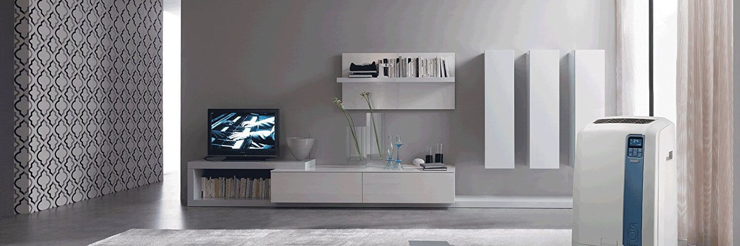 Test & avis De'Longhi Pinguino 12 000 BTU