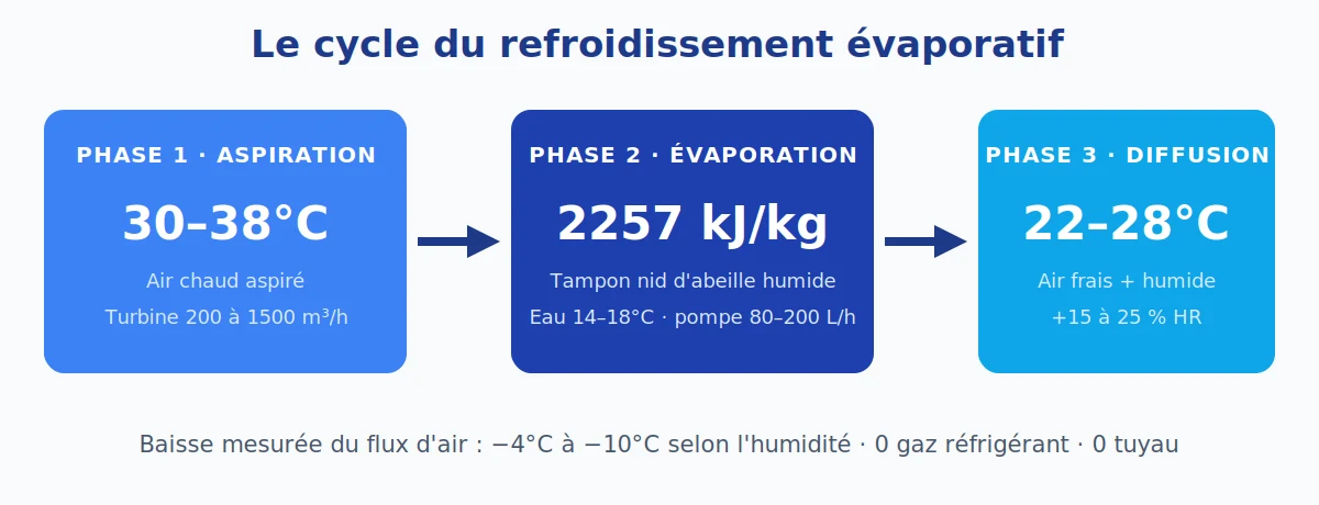 Infographie du fonctionnement d'un rafraîchisseur d'air évaporatif en 3 phases : aspiration de l'air chaud à 30-38°C, évaporation sur tampon nid d'abeille (2257 kJ/kg), diffusion d'air frais à 22-28°C